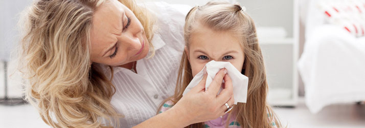 Chiropractic Chesterfield MI Your Allergies Cause And Effect